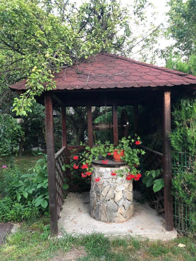 Argeselu Garden Villa - Entire Floor Apartment, Exclusive Garden Access Maracineni Esterno foto