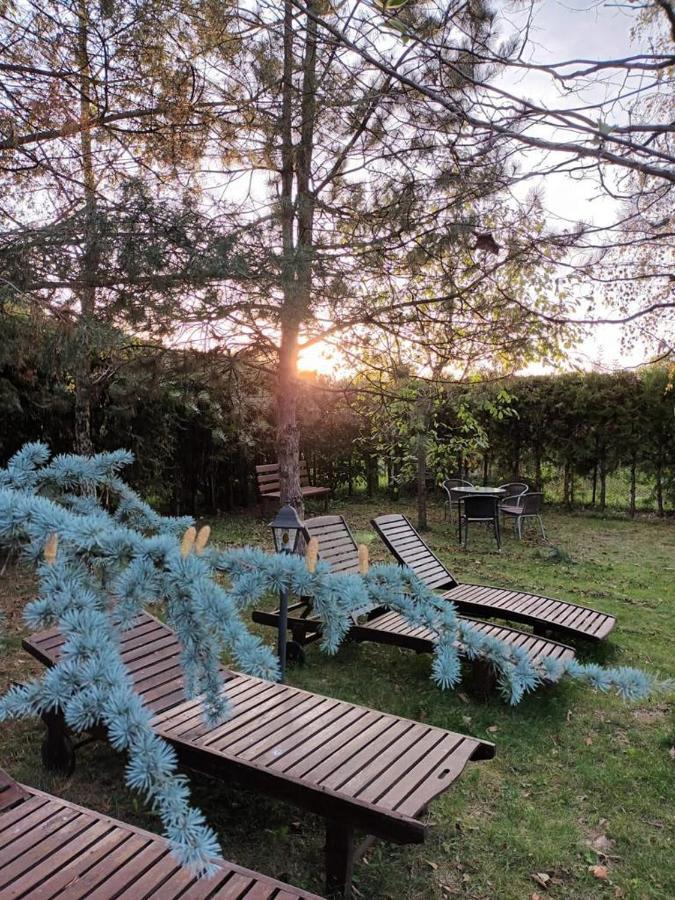 Argeselu Garden Villa - Entire Floor Apartment, Exclusive Garden Access Maracineni Esterno foto
