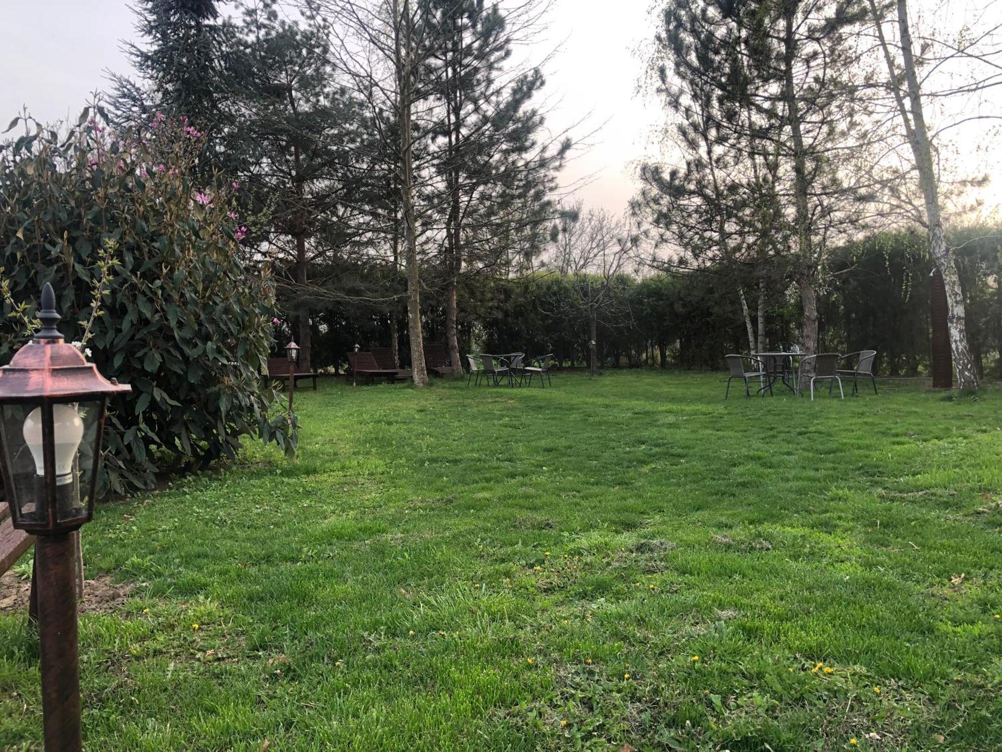 Argeselu Garden Villa - Entire Floor Apartment, Exclusive Garden Access Maracineni Esterno foto