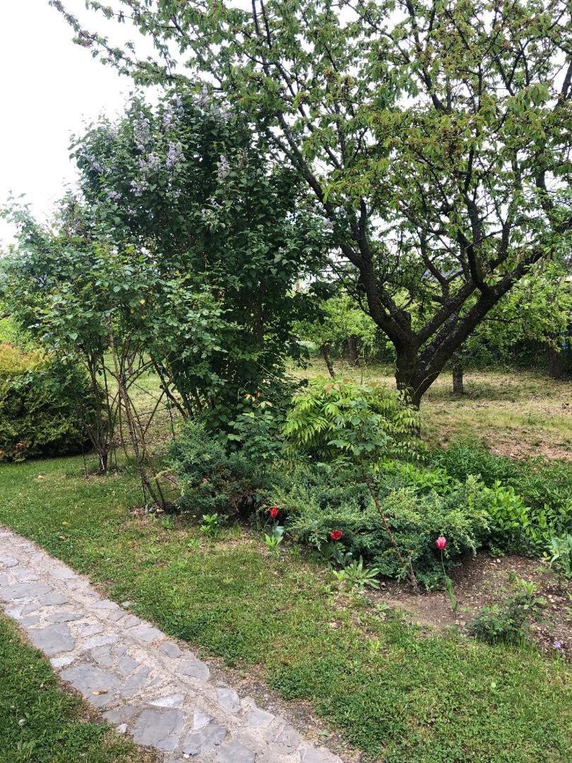 Argeselu Garden Villa - Entire Floor Apartment, Exclusive Garden Access Maracineni Esterno foto
