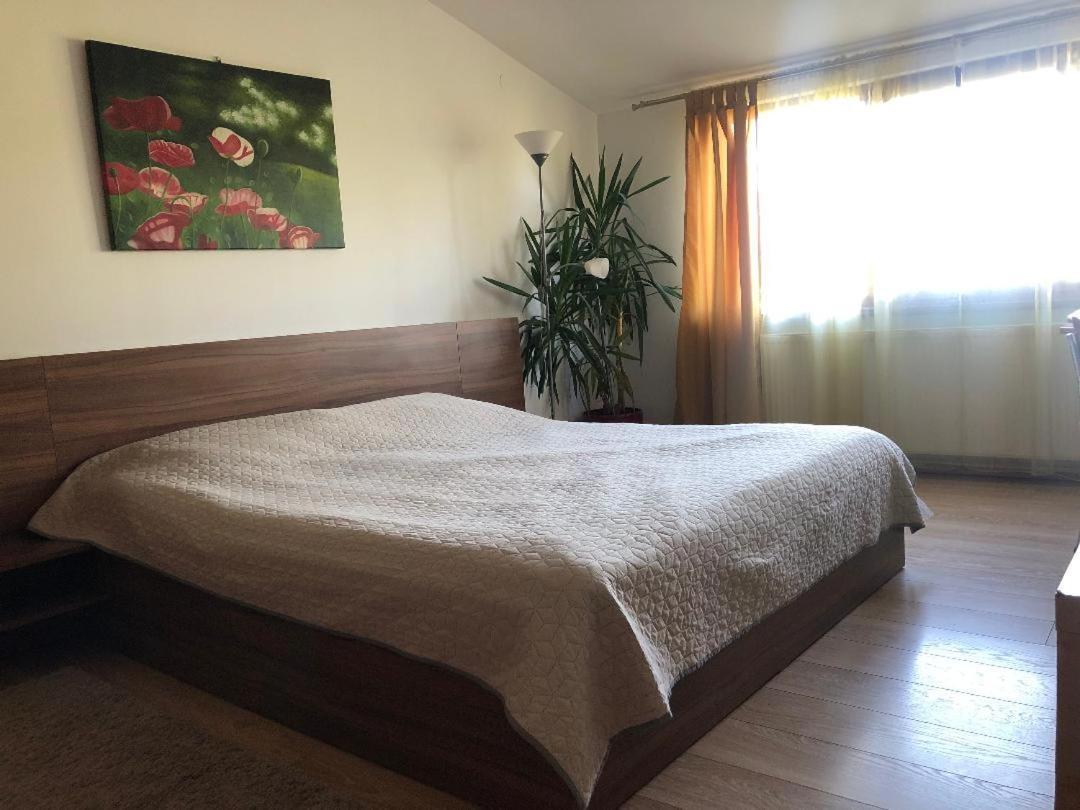 Argeselu Garden Villa - Entire Floor Apartment, Exclusive Garden Access Maracineni Esterno foto